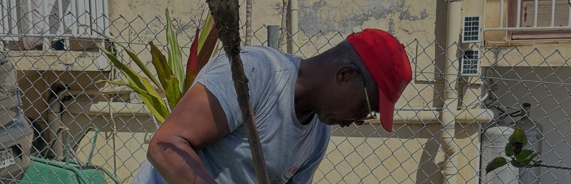Réseaux Antilles Multiservices (RAMS) Entreprise martiniquaise spécialisée en électricité, travaux VRD, terrassement, sécurité et solutions informatiques.